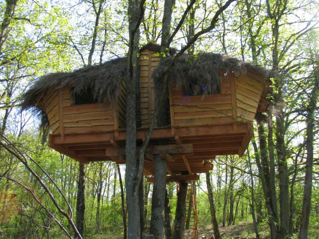 Cabane perchée au printemps