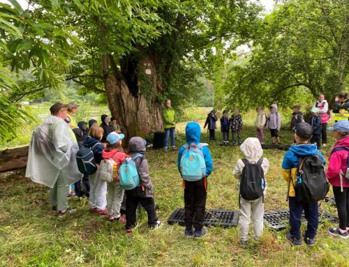 Accueil des P’tites Randos « Grande Sologne » en juin 2025 au Jardin des Lierres